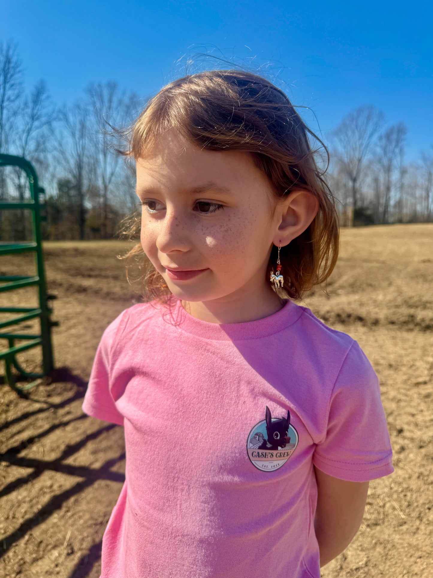 Silver Donkey Earrings