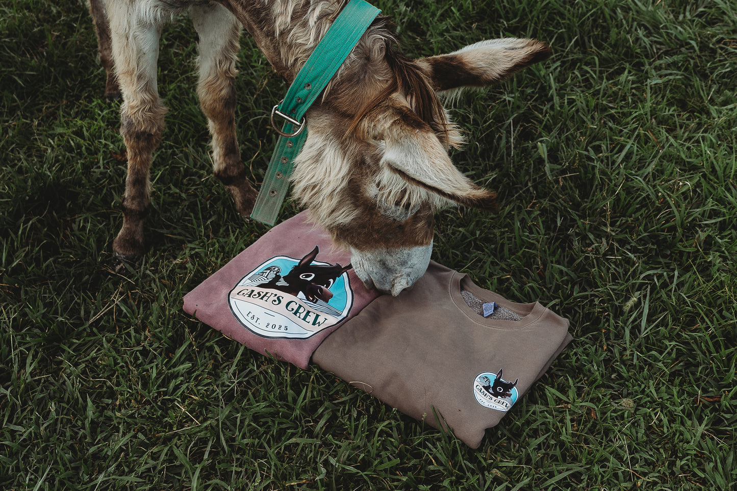 Cash's Crew Sweatshirt (Pre-Order)