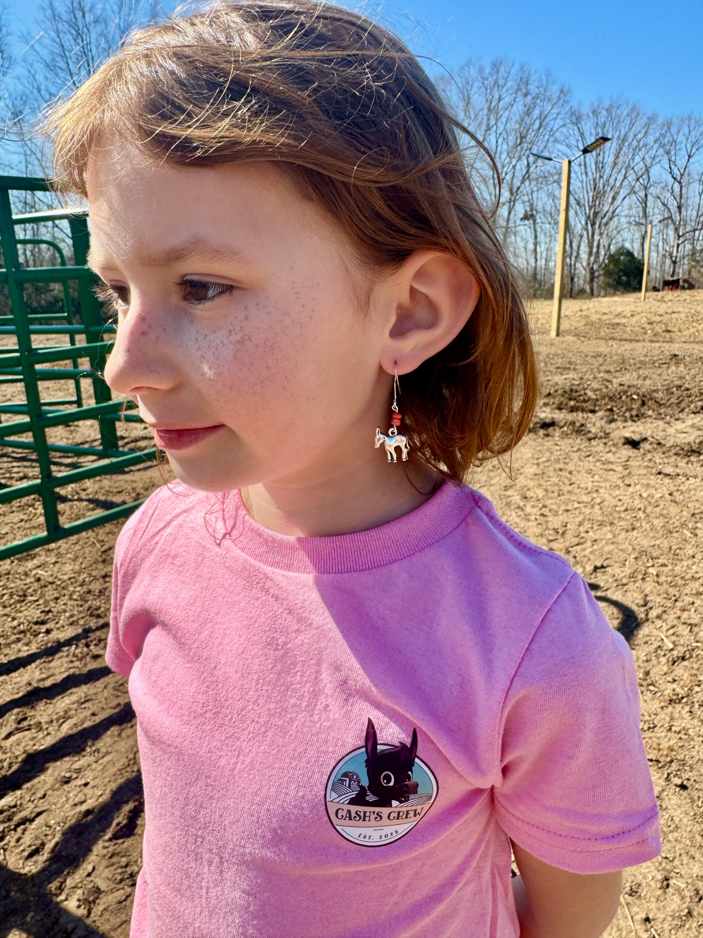 Silver Donkey Earrings